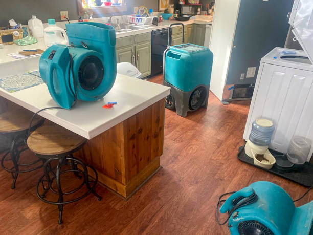 Best Local water damage restoration  in Parma Heights, OH