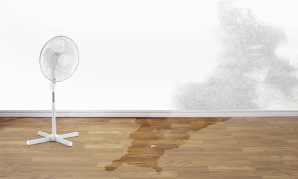 Best Flooded house restoration  in Parma Heights, OH
