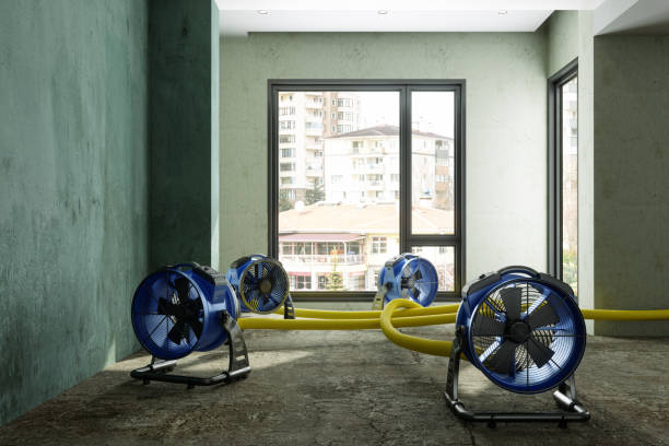 Best Ceiling water damage repair  in Parma Heights, OH